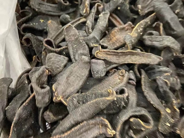 Z6人生就是博加工的几种方式