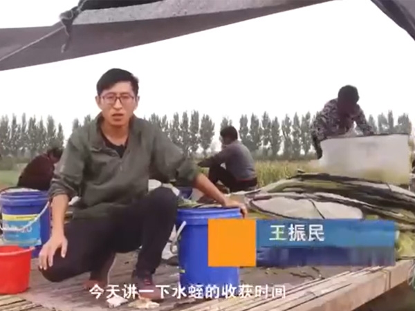Z6人生就是博收获时间