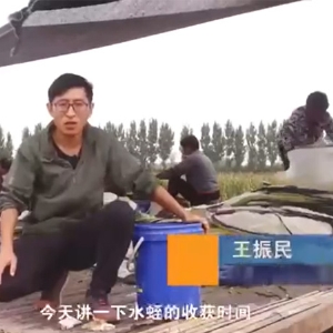 Z6人生就是博收获时间